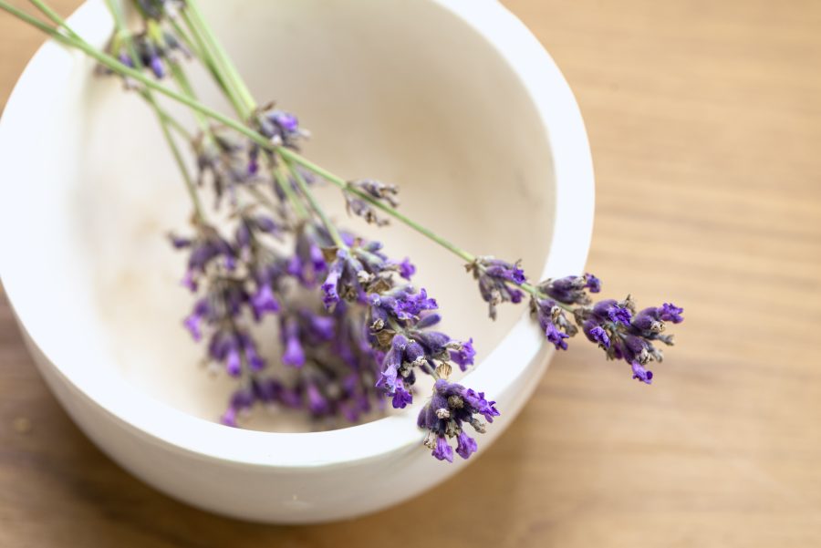 Juliet Bigot, naturopathe